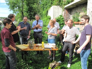 IMG_4137